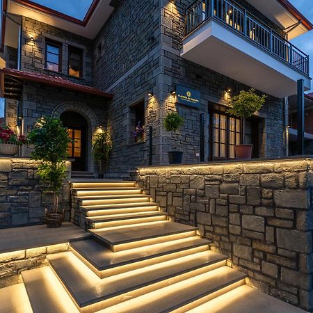 Floara Di Munte Forest Luxury Suites Metsovo Esterno foto