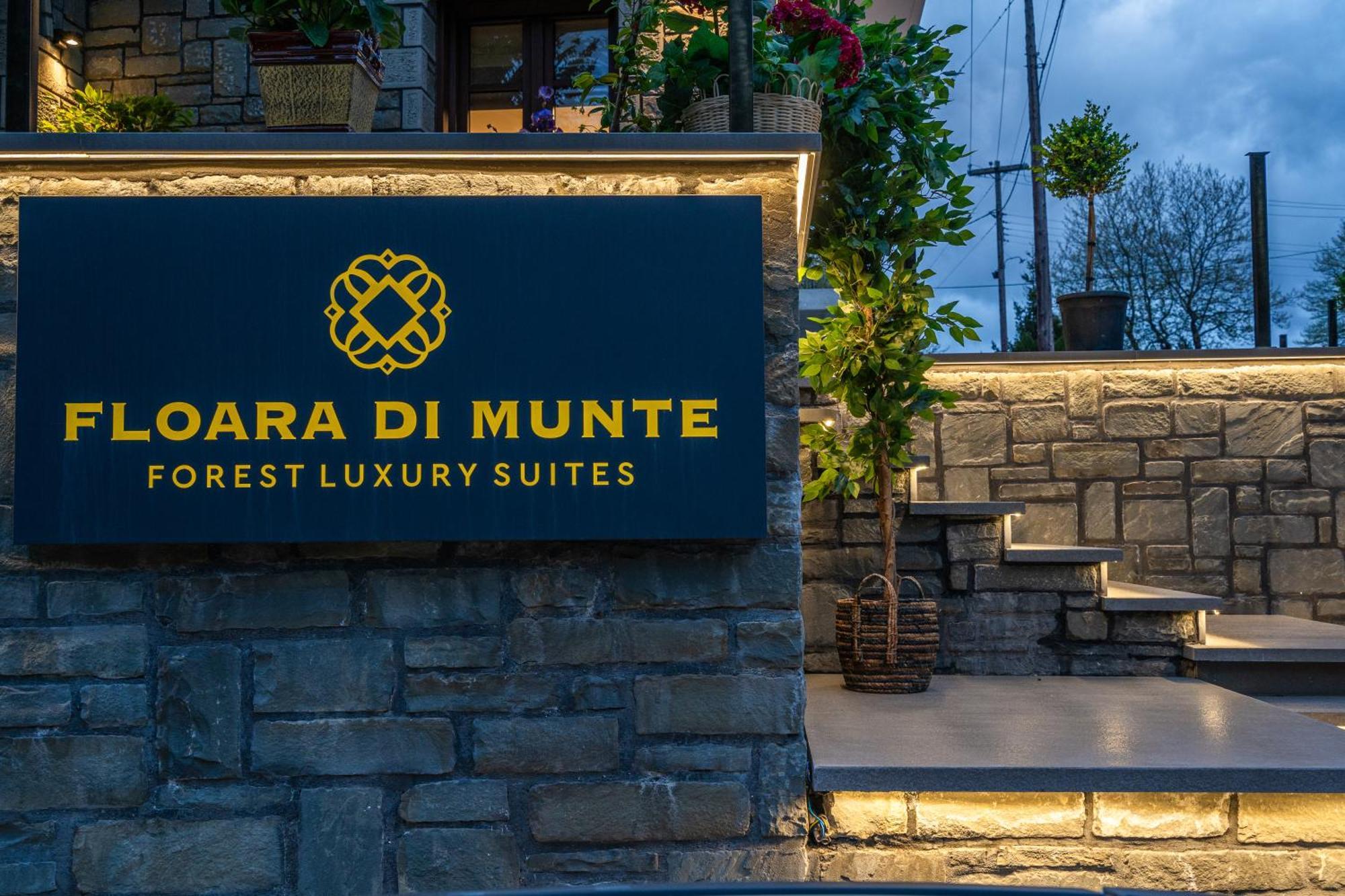 Floara Di Munte Forest Luxury Suites Metsovo Esterno foto