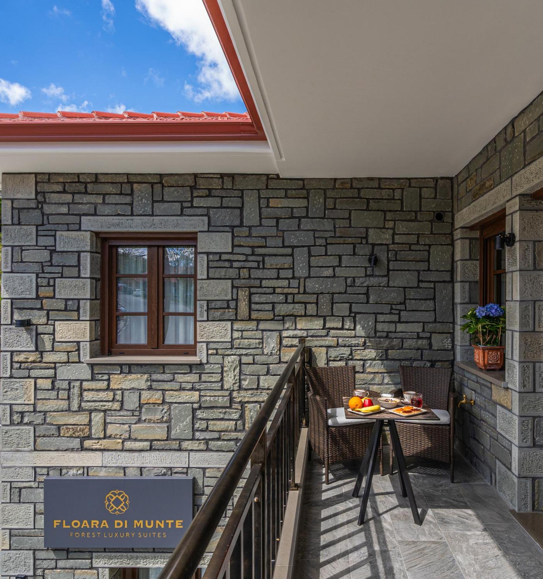 Floara Di Munte Forest Luxury Suites Metsovo Esterno foto