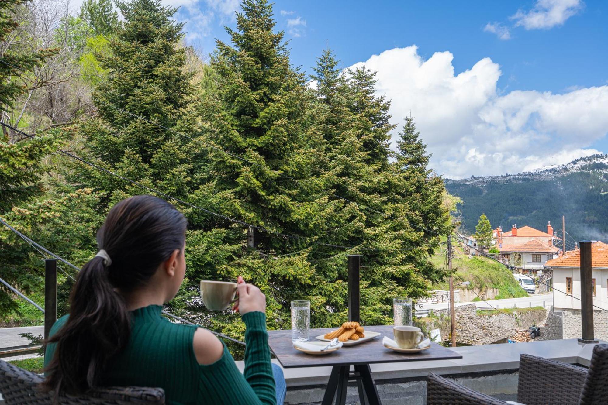 Floara Di Munte Forest Luxury Suites Metsovo Esterno foto